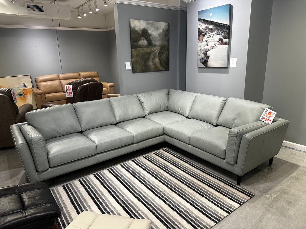 zander sectional leather sofa