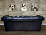 American Classics Leather - 623 Manhattan - Sofa