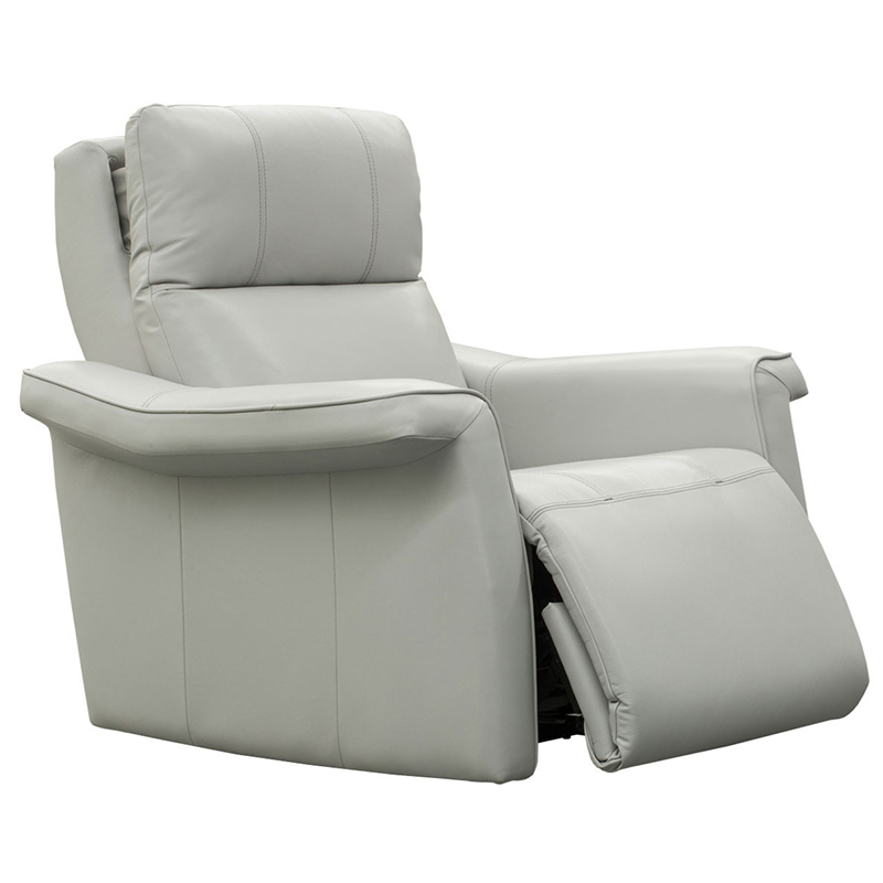 Elran Finn Chair Leather and More in Hickory NC