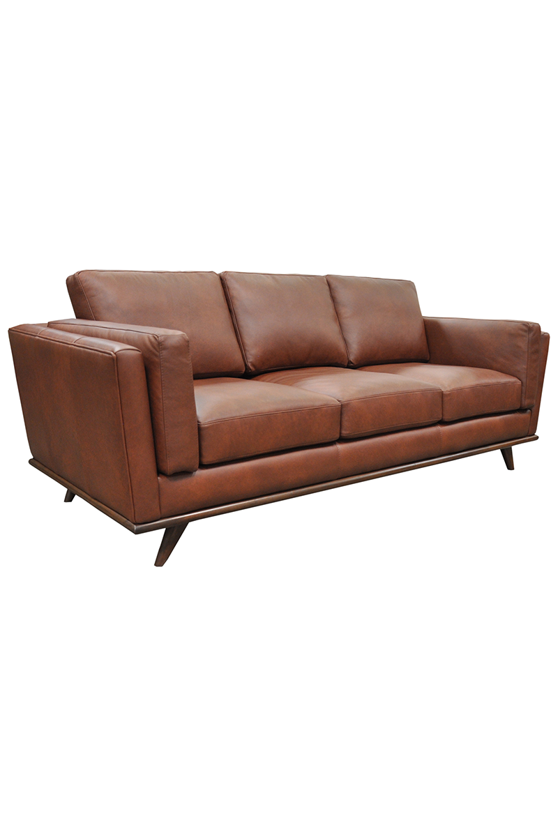 Omnia Zane Sofa Leather and More in Hickory NC