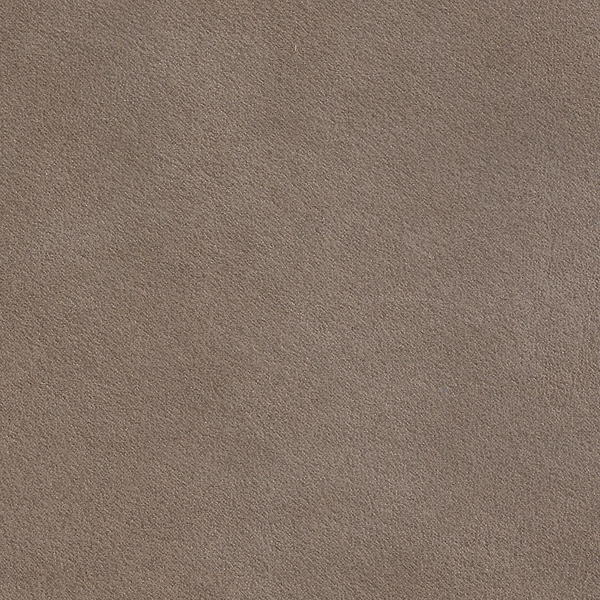 Taupe leather 2025