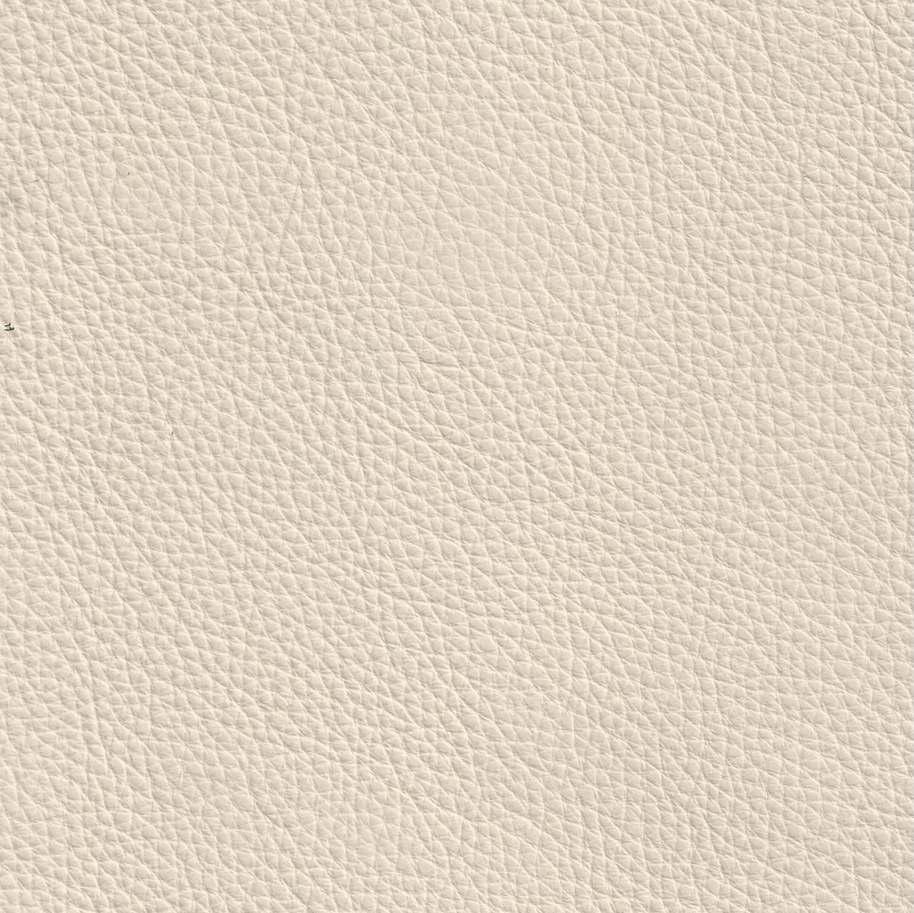 Legacy Swatch - GRADE 3 - Heavenly - Antique White