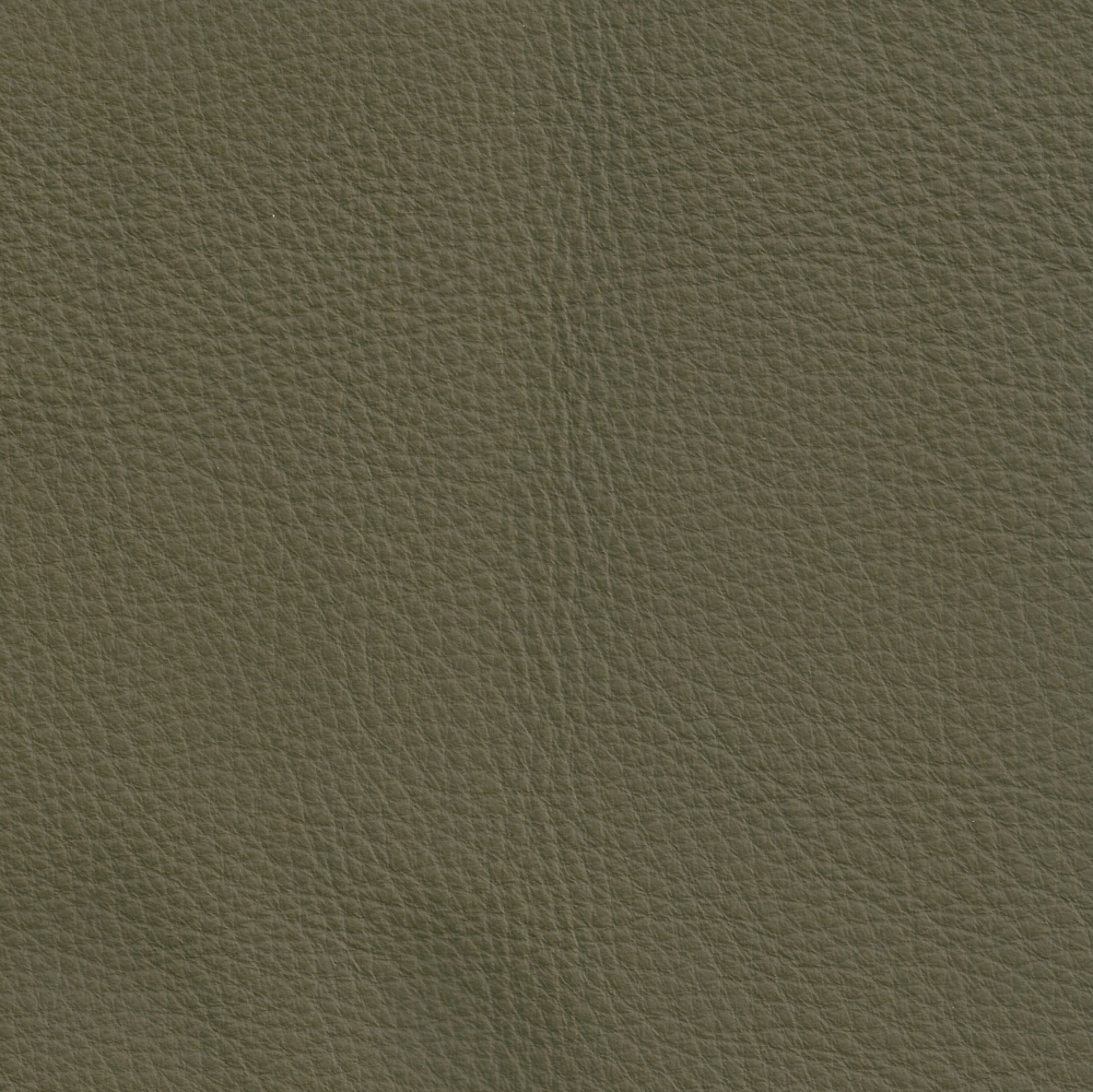 Legacy Swatch - GRADE 3 - Heavenly - Olive