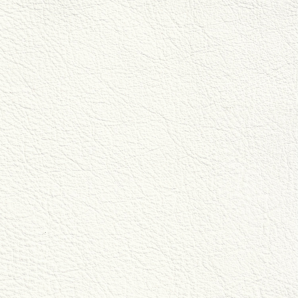 Legacy Swatch - GRADE 3 - Heavenly - White
