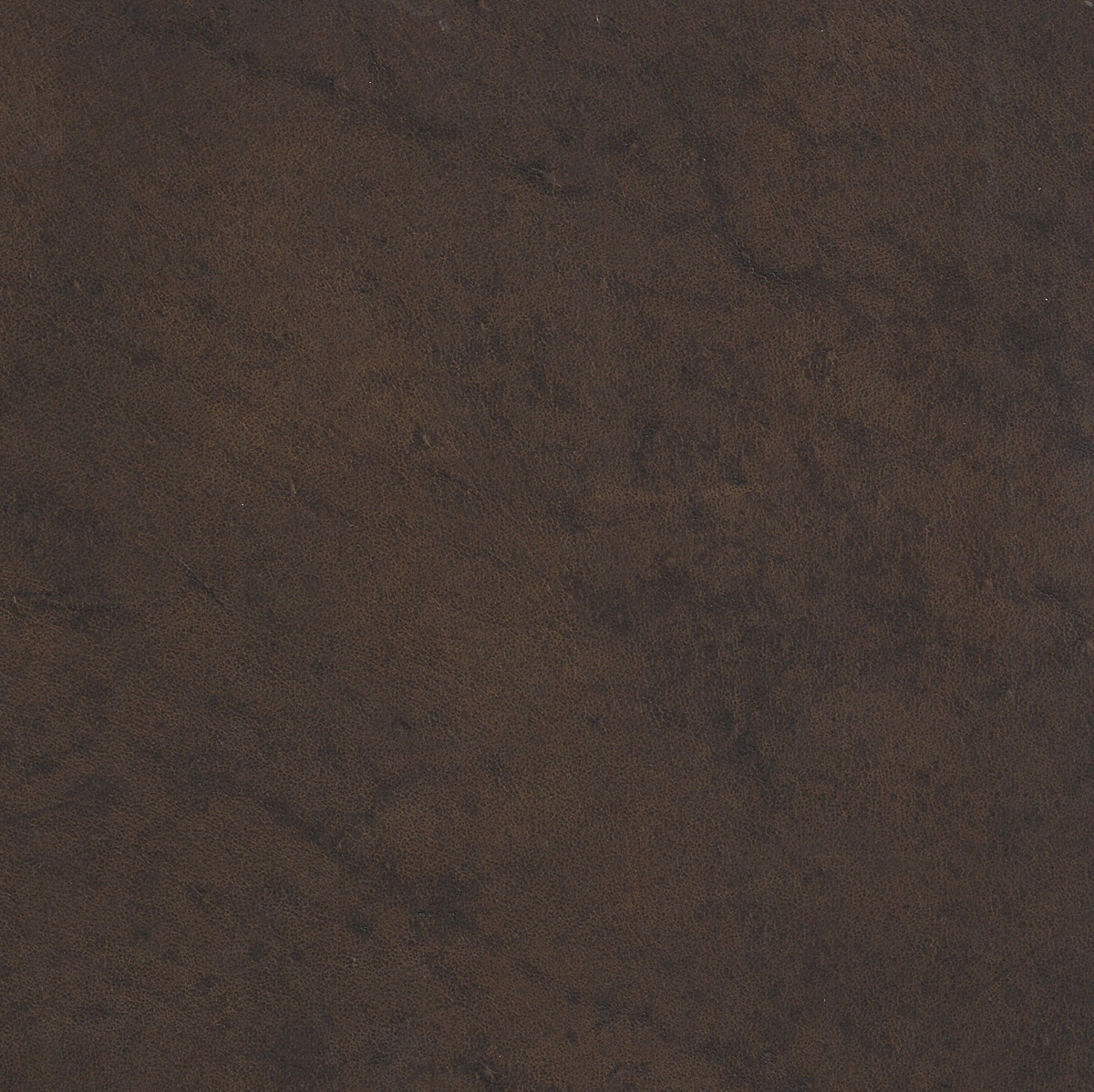 Legacy Swatch - GRADE 2 - Maverick - Root Beer – Leather and More