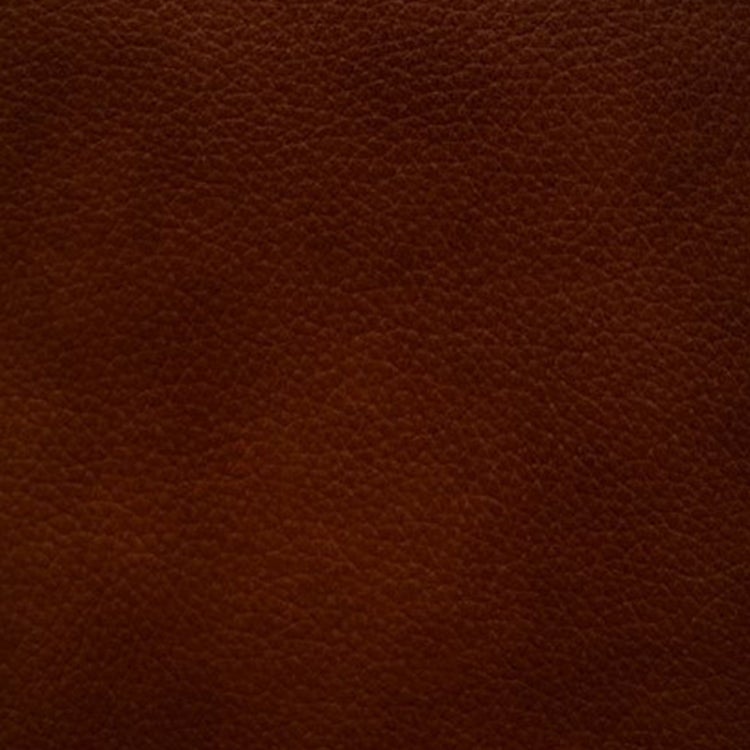 Omnia Swatch - GRADE 2 - Valentino Cognac