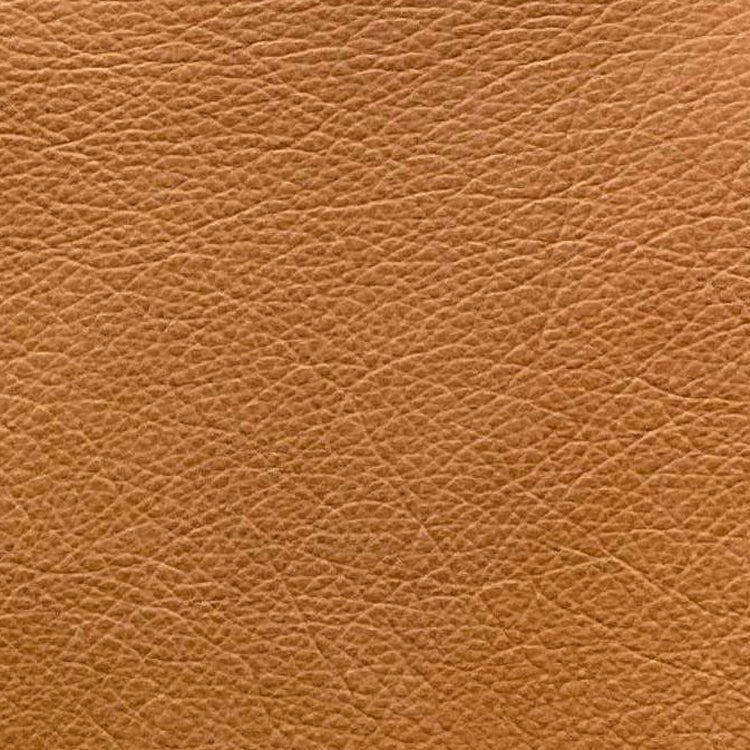 Omnia Swatch - GRADE 3 - Silk Palomino