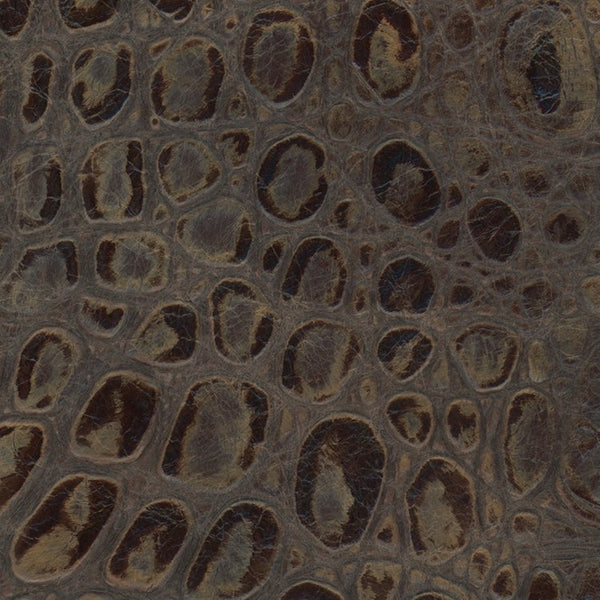 Omnia Swatch - GRADE 6 - Monster Croc Java – Leather and More in